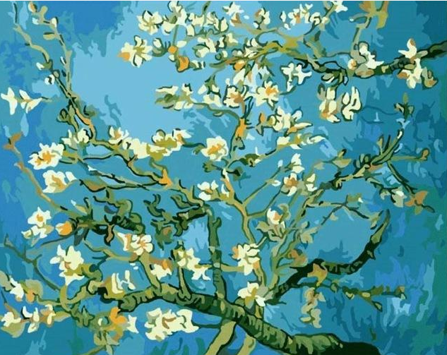 Le migliori foto Pittura a olio digitale fai-da-te Dipingi con i numeri Regalo unico di compleanno di Natale Cielo stellato di Van Gogh del fiume Rodano