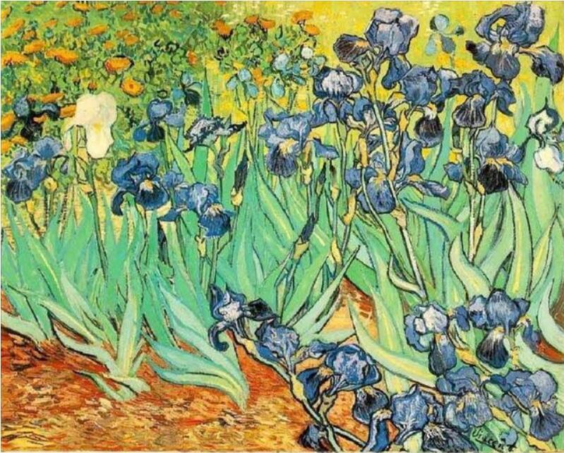 Meilleures images bricolage peinture à l'huile numérique peinture par numéros noël anniversaire cadeau Unique Van gogh ciel étoilé du rhône