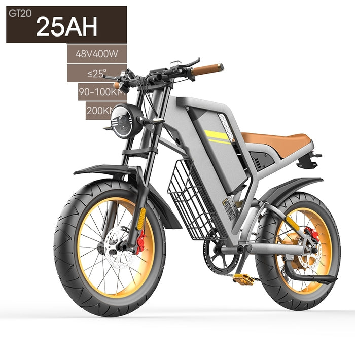 Nueva bicicleta eléctrica con neumáticos grandes de 20 pulgadas y asistencia de transmisión en siete etapas